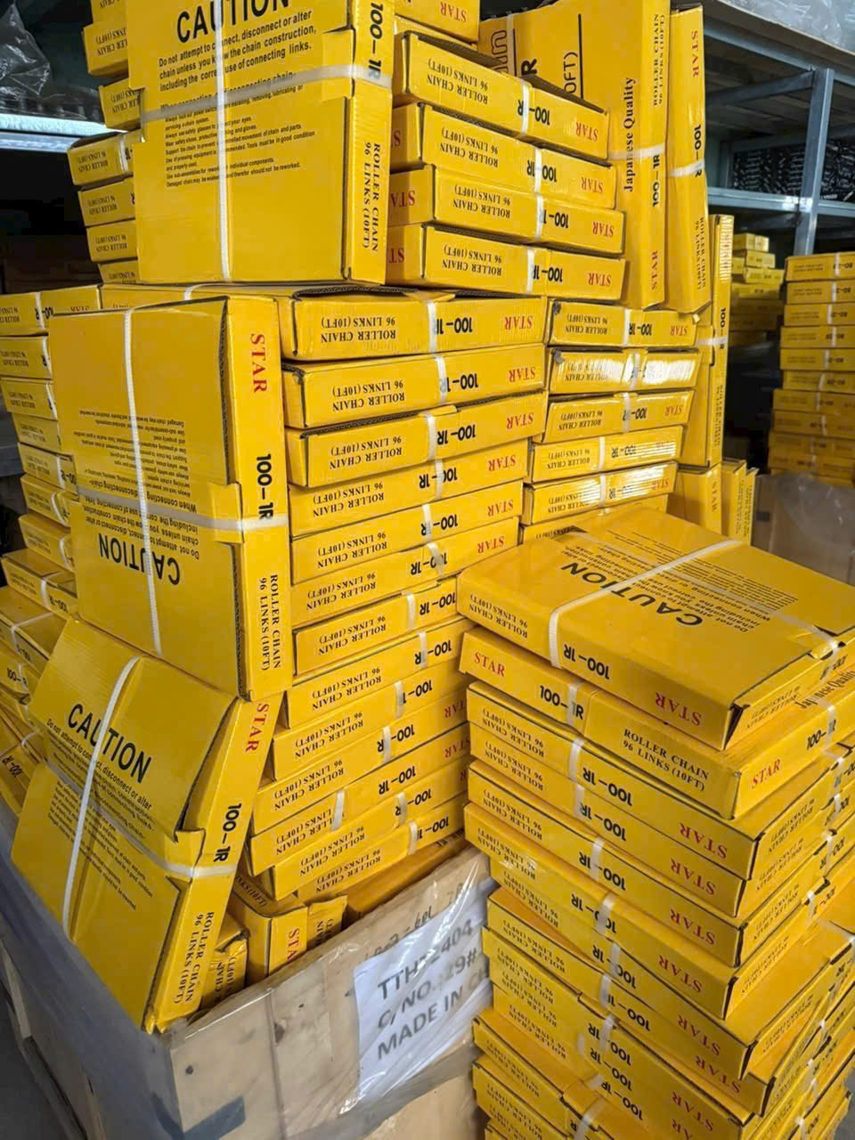 Sên star gia si (1)