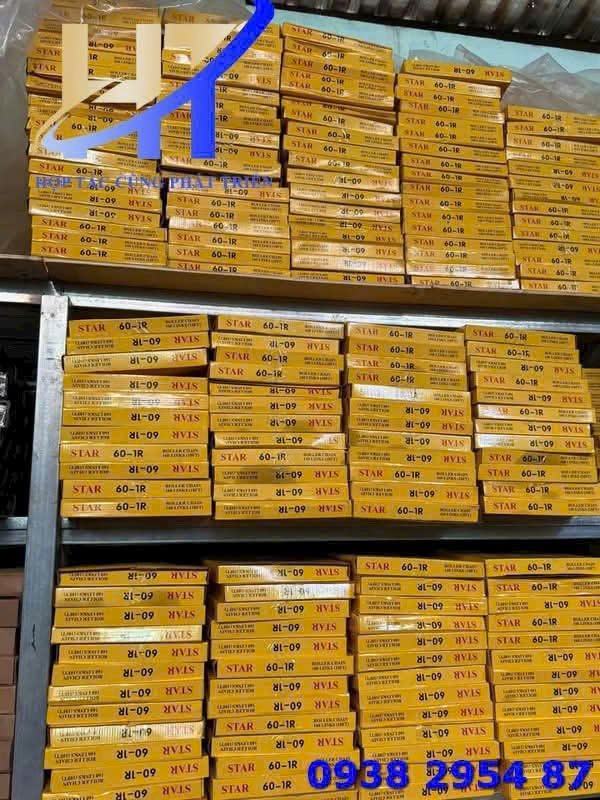 Sên star gia si (2)