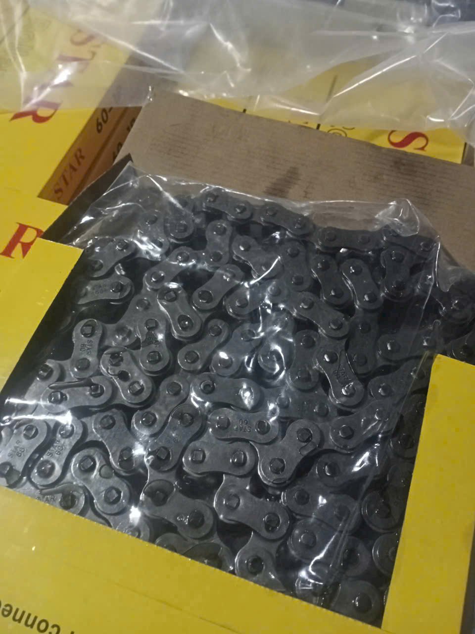 Sên star gia si (3)